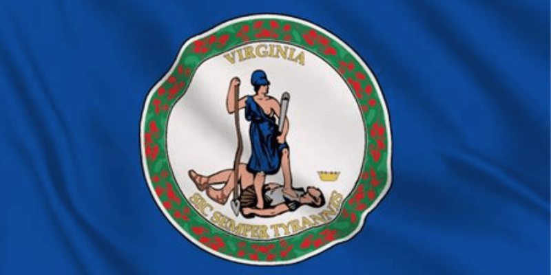 Virginia state flag.