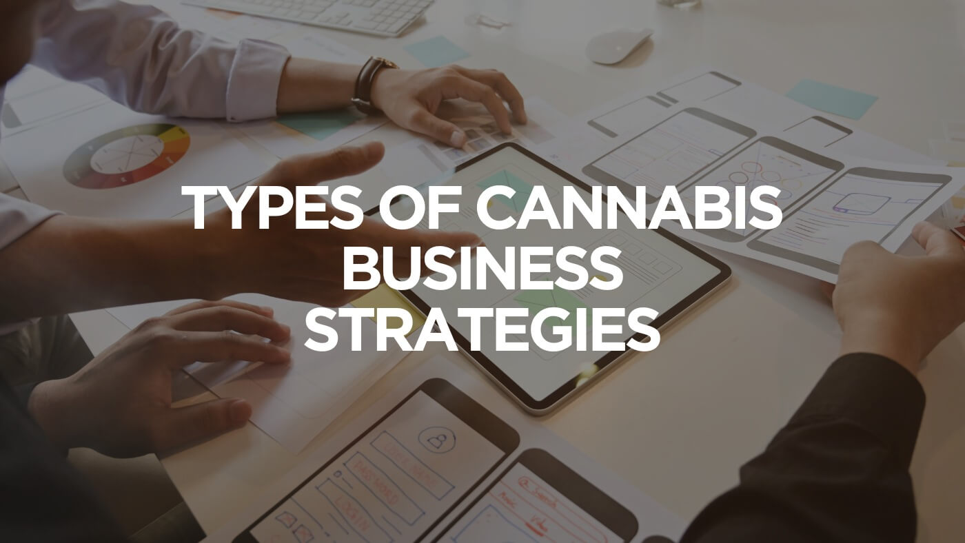 Types Of Cannabis Business Strategies