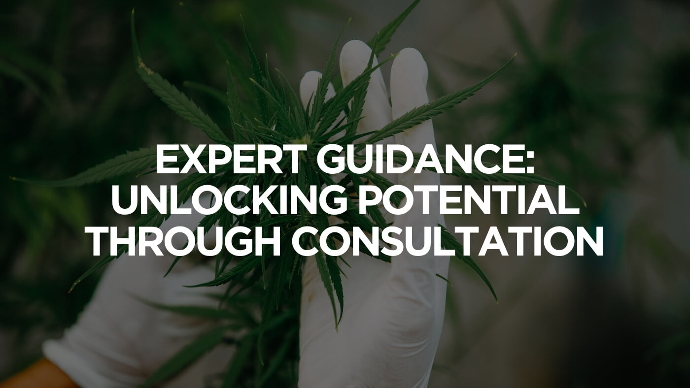 Expert Guidance: Unlocking Potential Through Consultation
