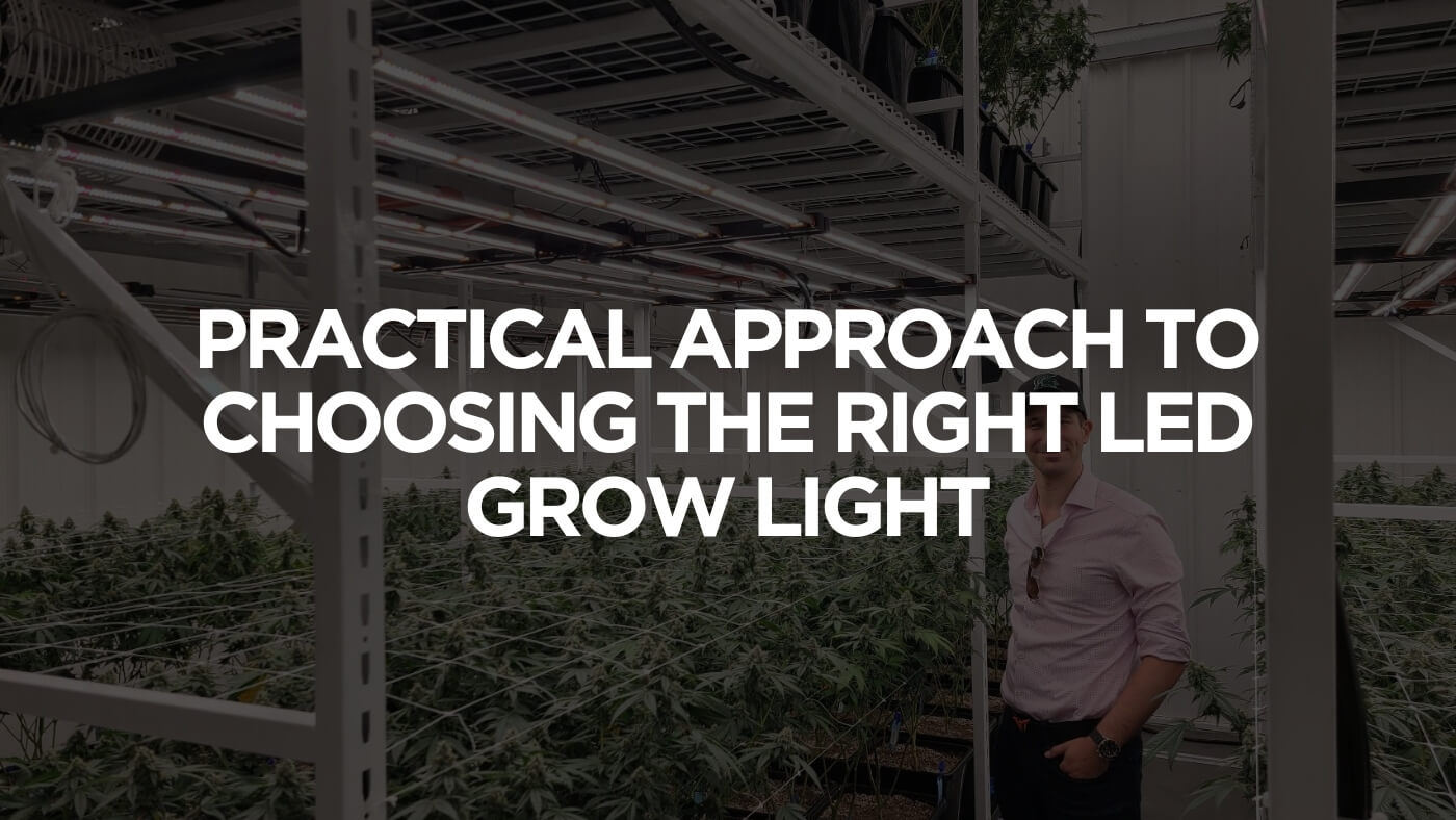 Practical Approach To Choosing The Right LED Grow Light