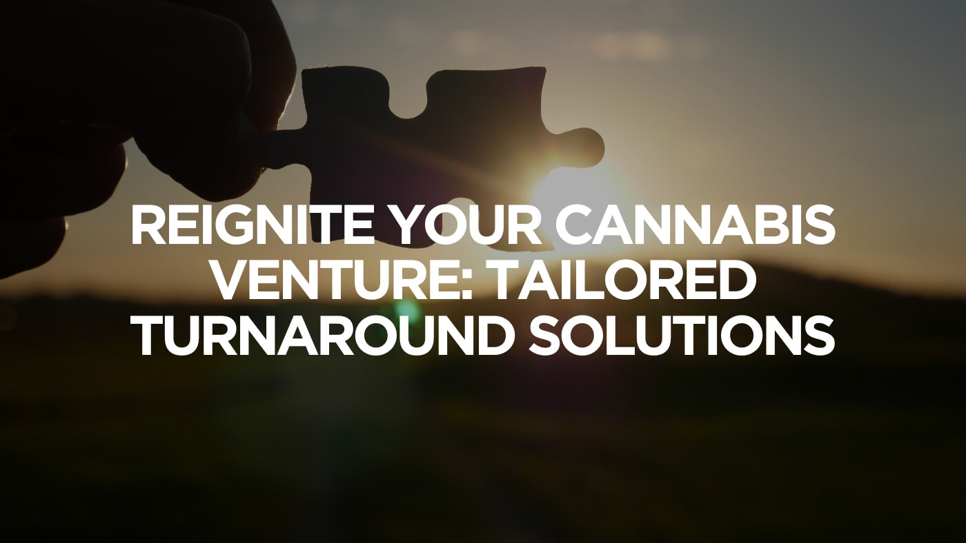 Reignite Your Cannabis Venture Tailored Turnaround Solutions