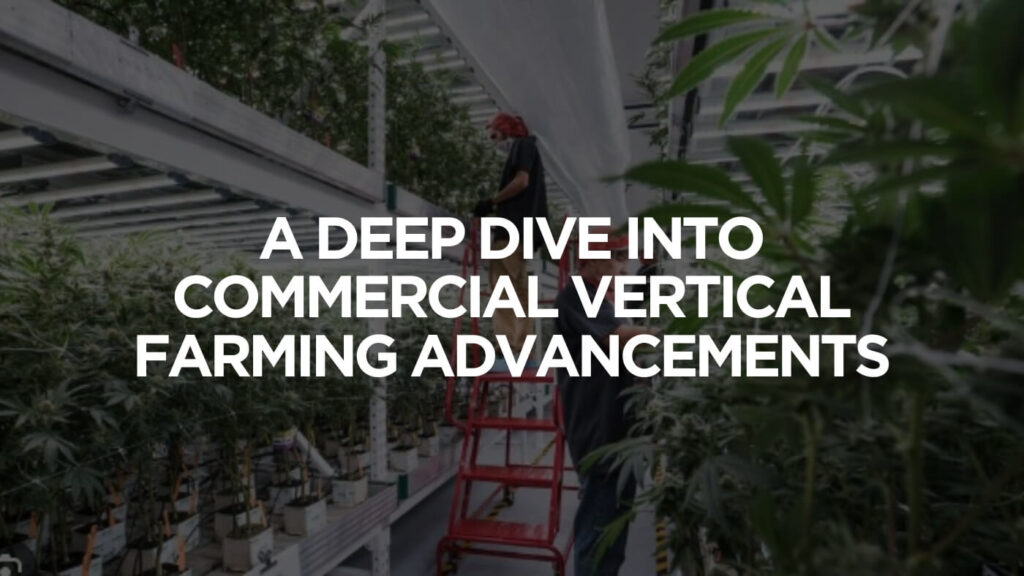 Two-level cannabis vertical farming structure showcasing efficient space utilization for cannabis cultivation.