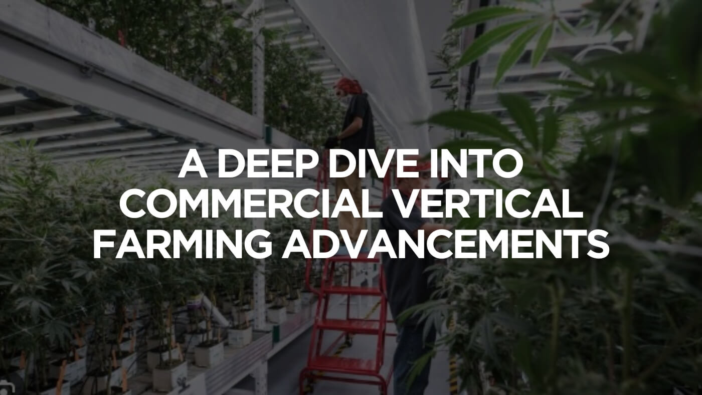 Commercial Vertical Farming Advancements  Catalyst BC