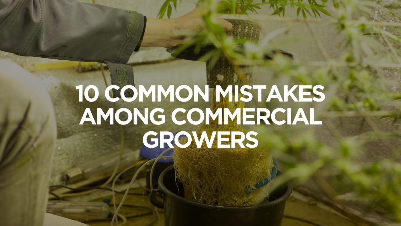 10 Common Mistakes Among Commercial Growers