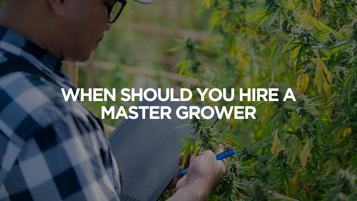 When Should You Hire A Master Grower