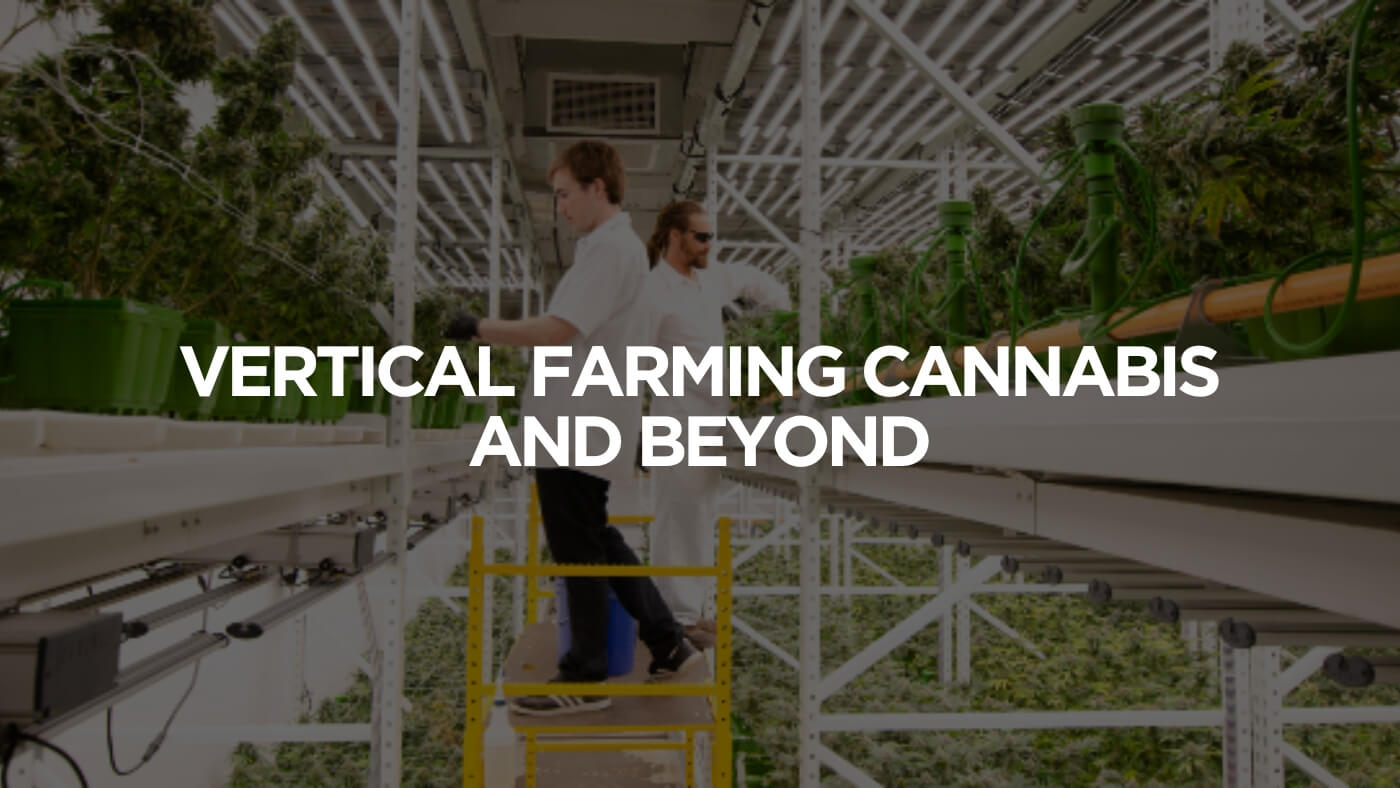 Vertical Farming Cannabis And Beyond