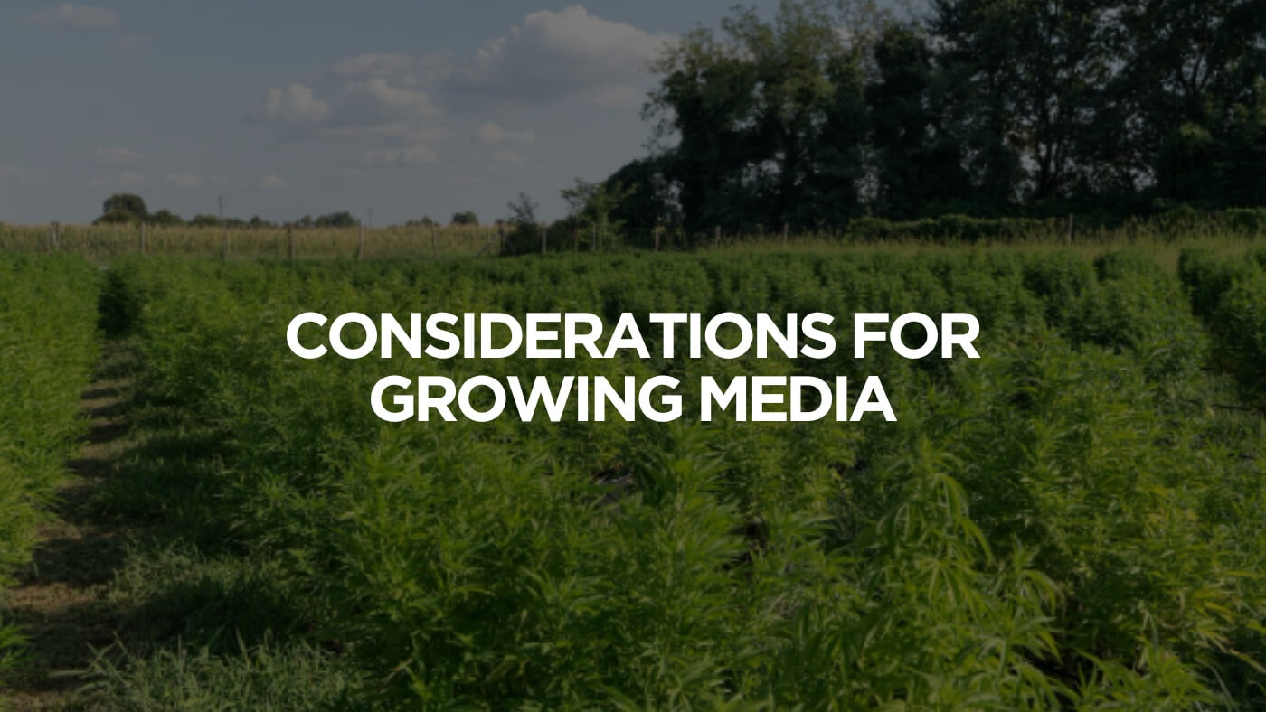 Considerations for Growing Media