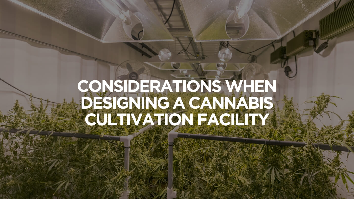 Considerations When Designing a Cannabis Cultivation Facility