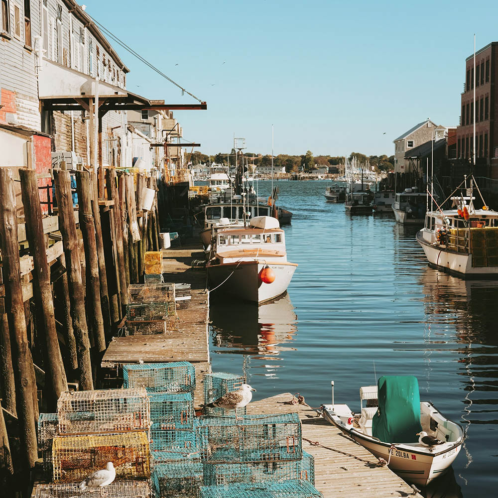 A vibrant Portland dock scene featuring docked boats and stacked lobster cages, reflecting the maritime culture of Maine.