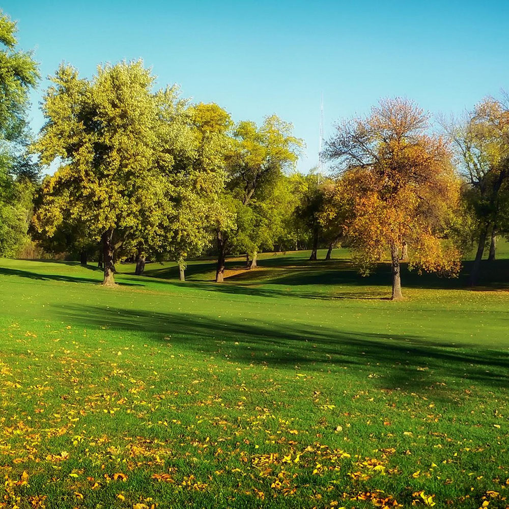 Nebraska Cannabis Consulting: Scenic view of a Nebraska park in fall with trees showcasing vibrant autumn colors.