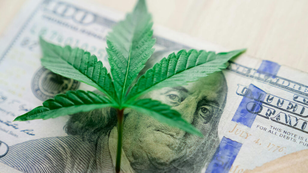 Nebraska Initiative Measures 437 & 438: Cannabis leaf on a $100 bill symbolizing economic impact and financial promise in Nebraska's medical cannabis reform.