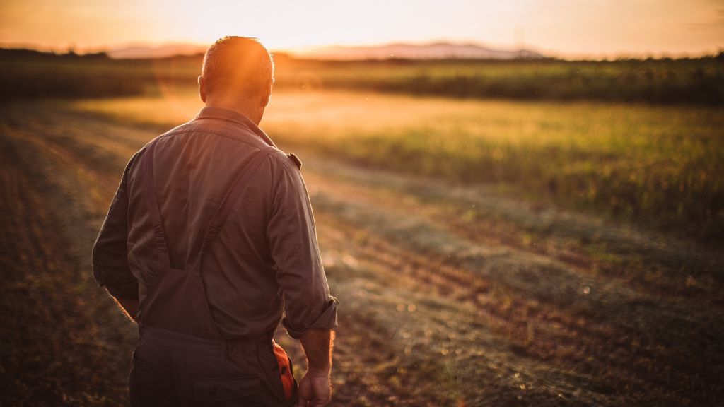A Nebraska farmer stands in his open field at sunset, reflecting on the possibilities of obtaining a Nebraska medical cannabis license and participating in Nebraska hemp cultivation, guided by a Nebraska cannabis consultant.