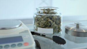 A clear glass jar filled with high-quality, unbranded cannabis flower sitting on a wooden table next to a digital weigh scale in a professional setting.