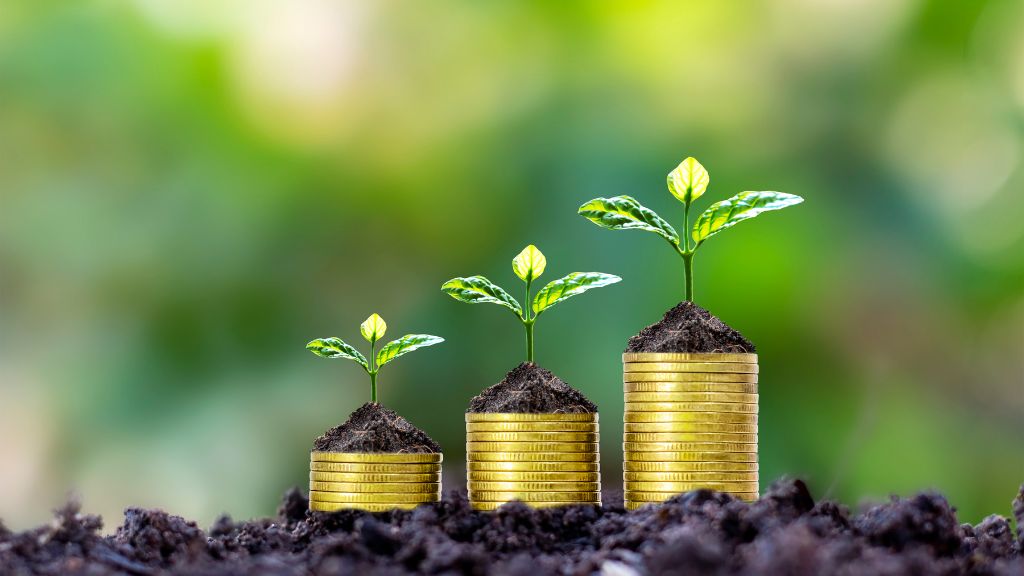 Four ascending stacks of coins with seedlings growing atop each stack, symbolizing cannabis financial planning and sustainable growth guided by a New York cannabis consultant.