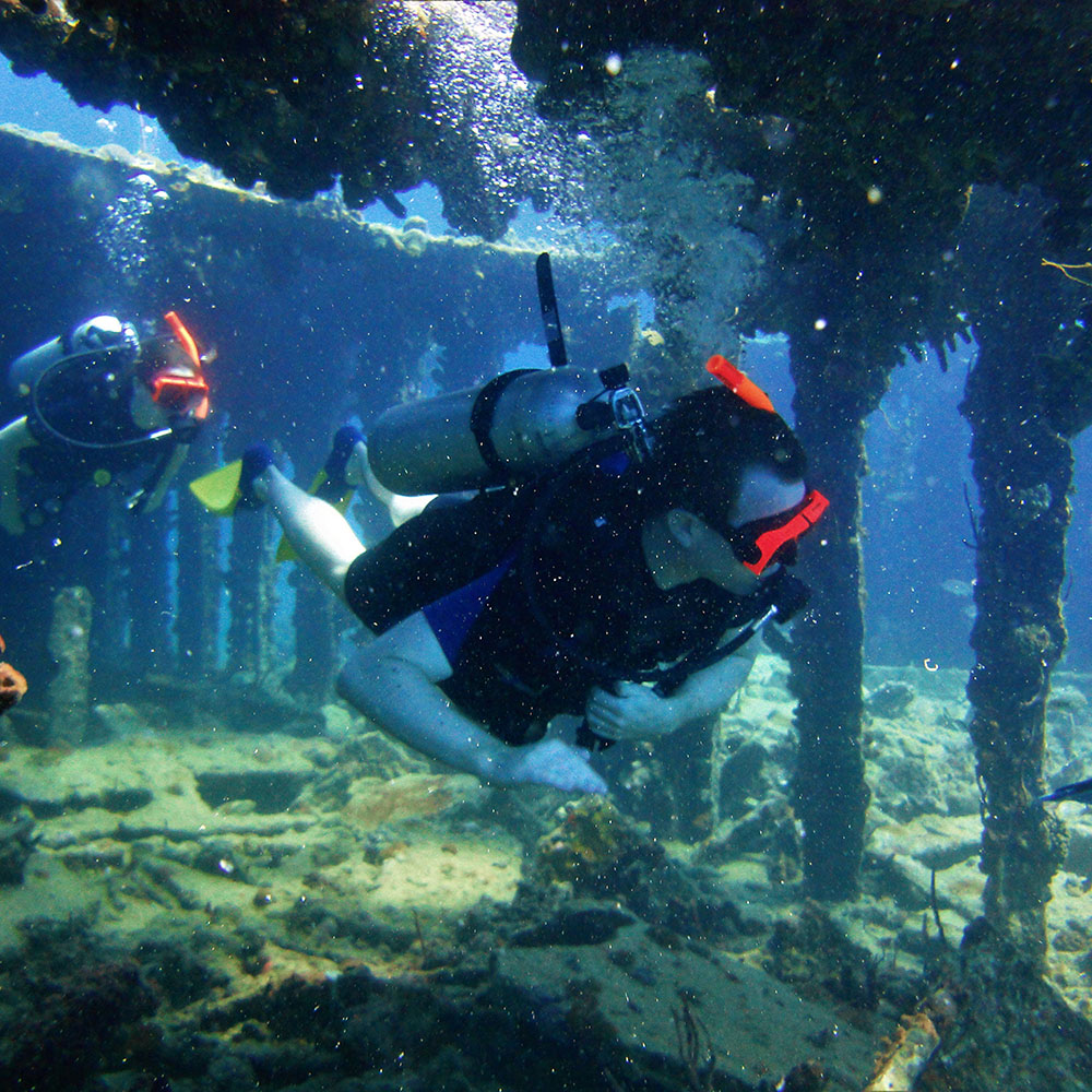 Scuba diver exploring vibrant coral reefs in the U.S. Virgin Islands, symbolizing the innovative spirit of US Virgin Islands Cannabis Consulting.