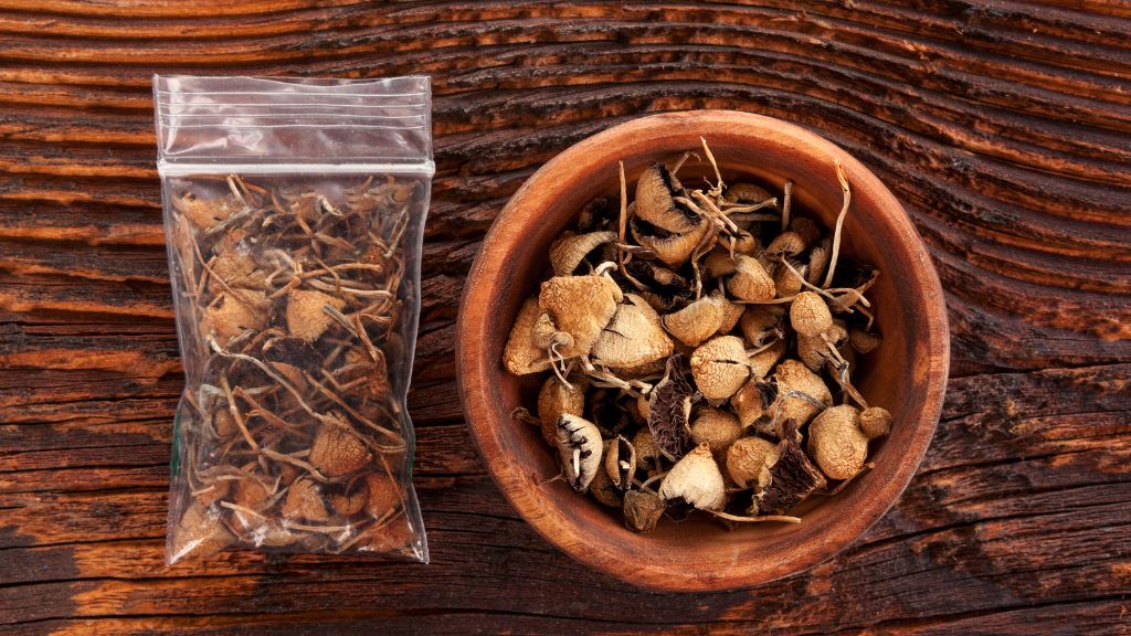 Colorado Psilocybin License requirements with Colorado Natural Medicine products displayed for Psilocybin Consulting