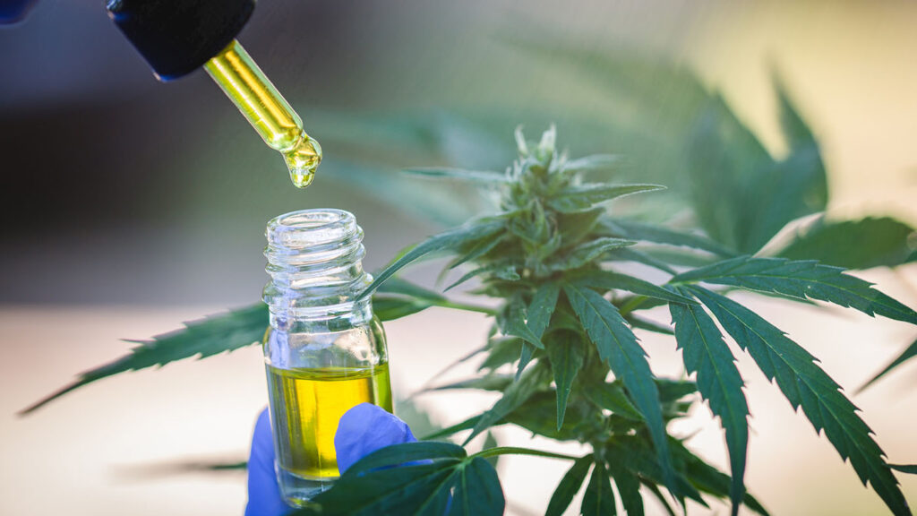 Texas Cannabis Reform 2025: A close-up of a cannabis flower and cannabis oil, symbolizing the ongoing debate over cannabis legislation in Texas.