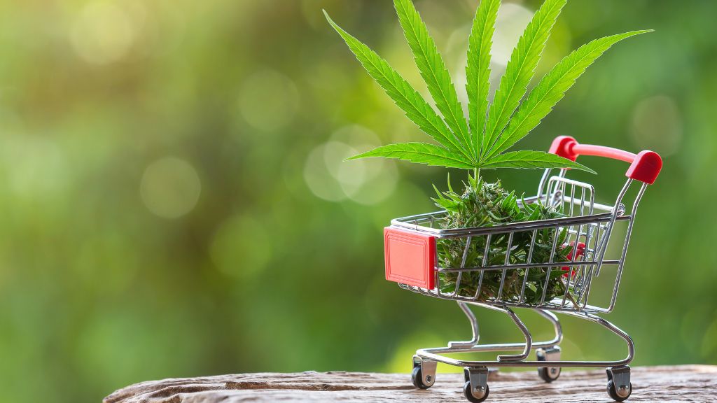 Shopping cart with cannabis flower and large cannabis leaf representing Cannabis Distribution Channels, Retail Cannabis Sales, and Online Cannabis Sales
