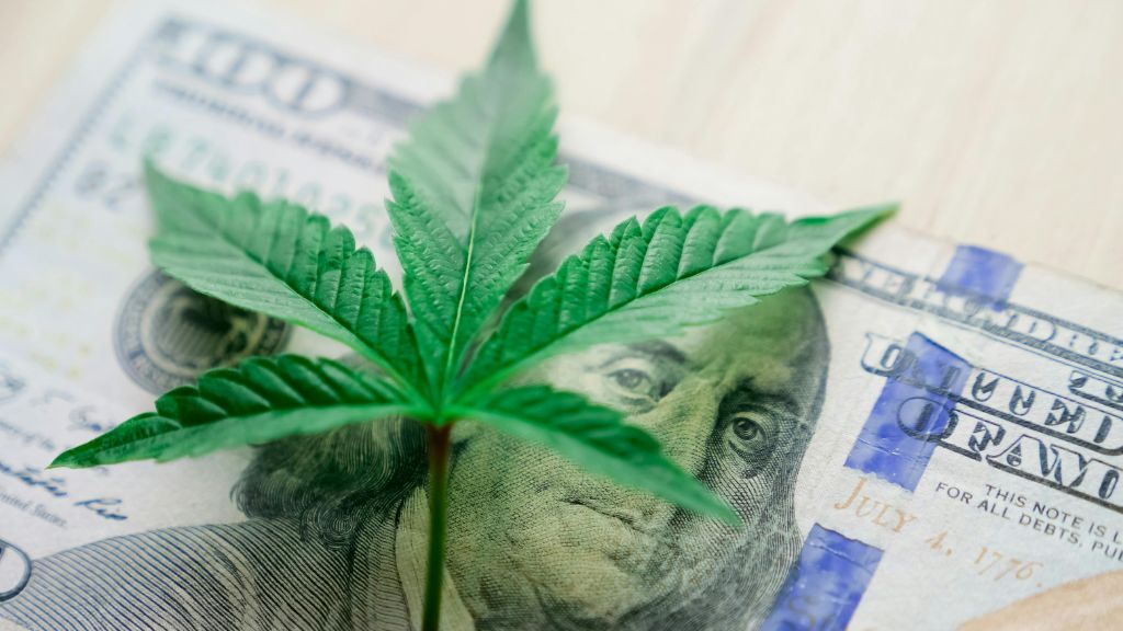 Funding for Cannabis Businesses represented by a cannabis leaf on a hundred-dollar bill symbolizing Cannabis Startup Costs and Cannabis Profitability Strategy