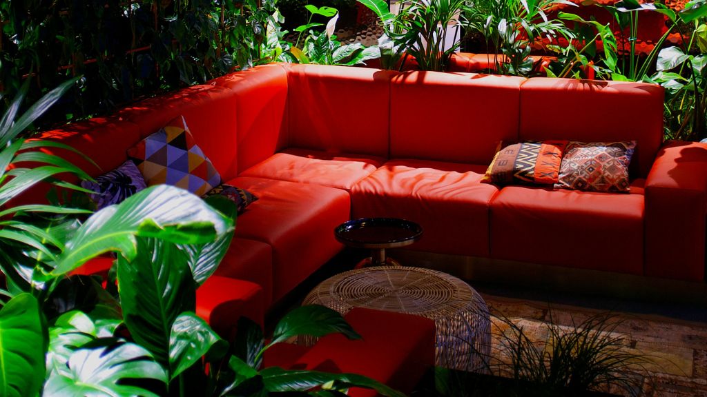 Interior of a California cannabis lounge designed with expertise from California cannabis consulting professionals