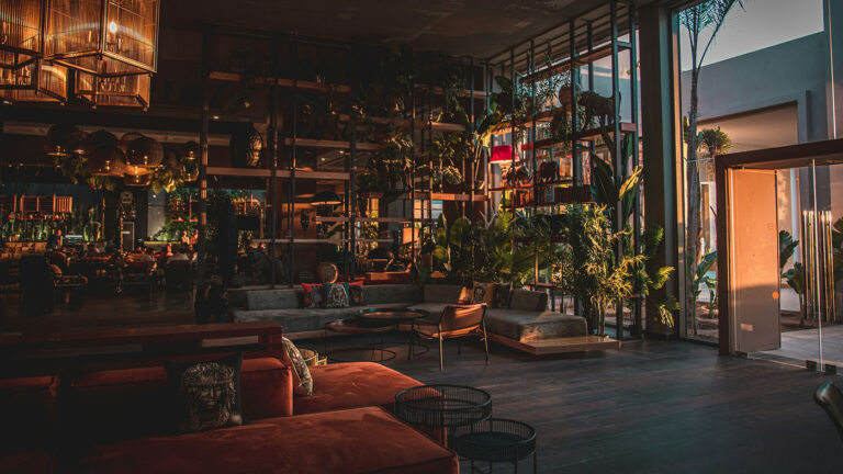 Interior of a modern cannabis lounge similar to potential Minnesota cannabis events.