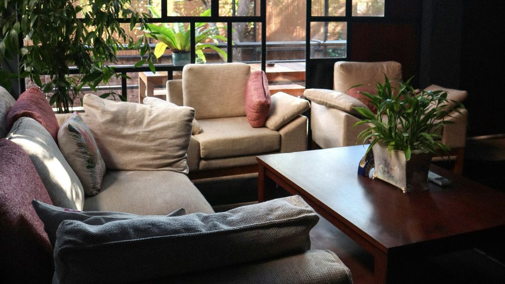 Interior of an Illinois cannabis lounge designed with expert guidance from Illinois cannabis consulting professionals