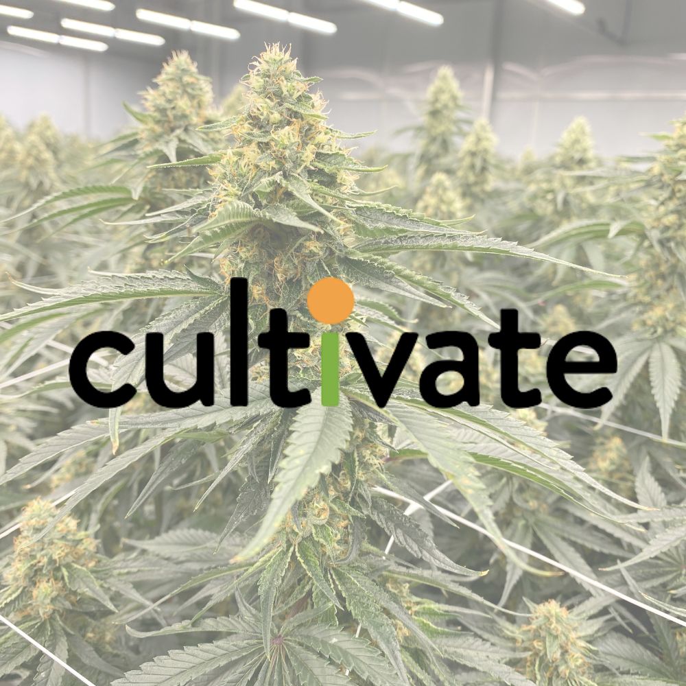 Cultivate Holdings LLC logo featured in Catalyst BC’s cannabis consulting case study