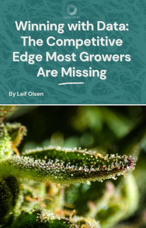eBook cover for “Winning With Data” showing macro close-up of cannabis plant