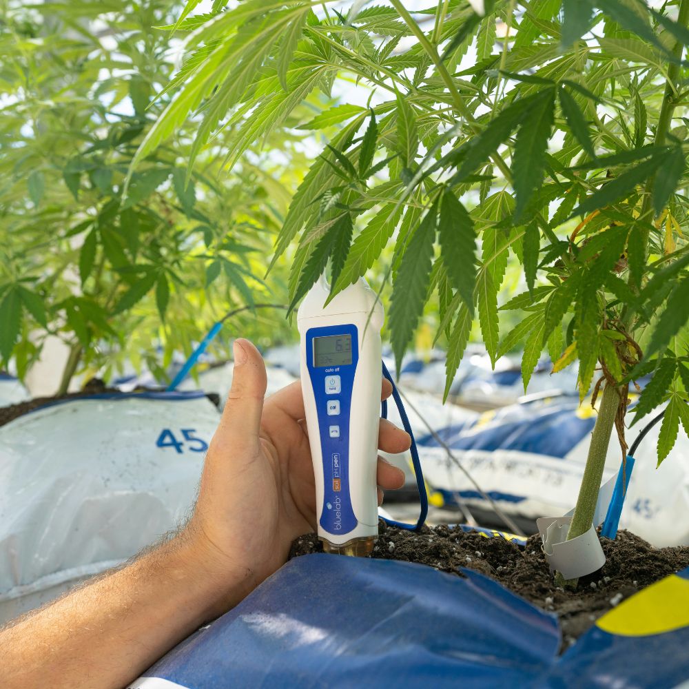 Humidity sensor collecting cannabis cultivation data for controlled environment agriculture