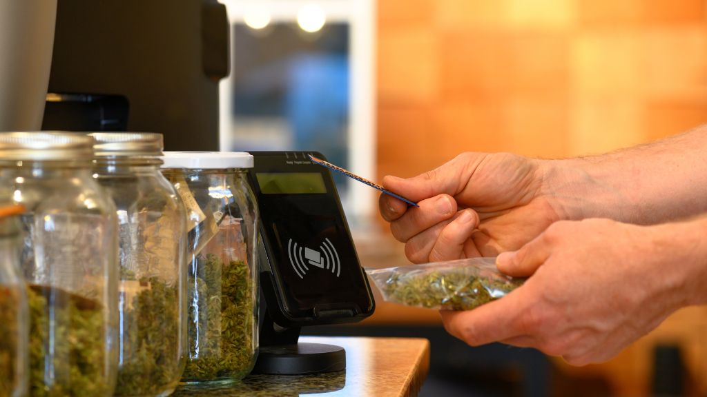 Budtender processing a cannabis sale at a Rhode Island dispensary, representing the Rhode Island Cannabis Business Application process in action.