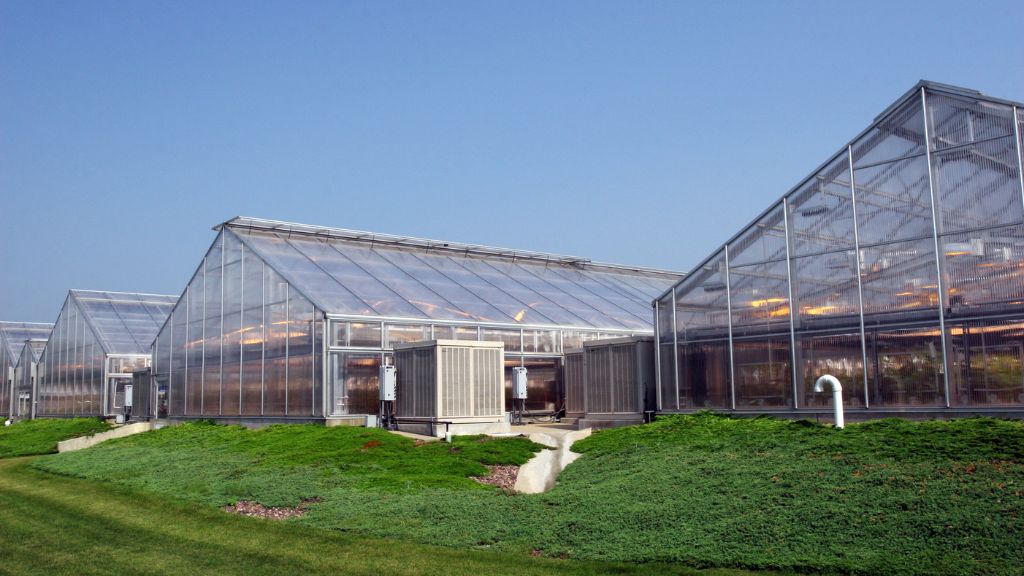 Exterior shot of a completed, licensed Cannabis Cultivation Facility Buildout, managed by a professional Owner's Rep for Cannabis Cultivation Facility.