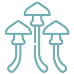 Psychedelics consultant preparing natural medicine and psychedelic licensing documents.