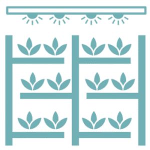 Cannabis consultant designing a vertical farming system for space and yield efficiency.