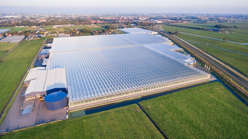 Aerial view of a large cannabis cultivation facility nearing completion of construction.