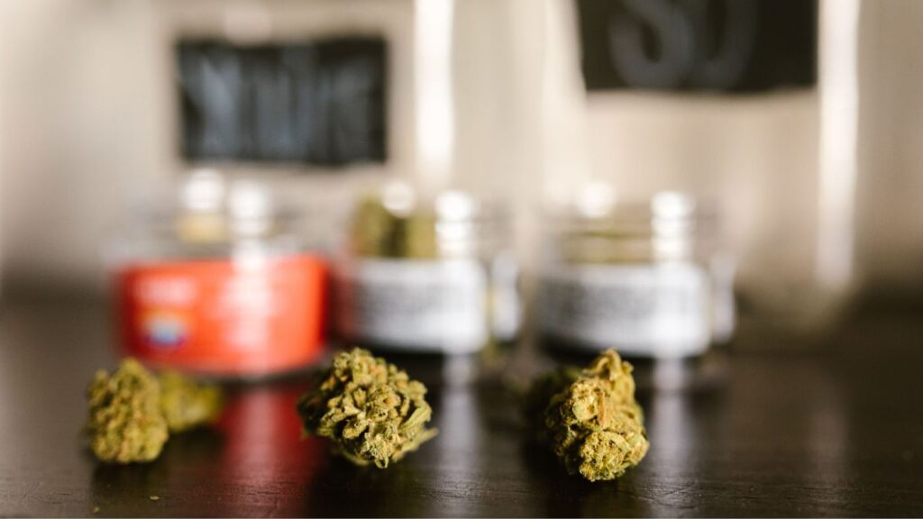 Three cannabis jars on a New York dispensary shelf with flower nugs displayed for comparison