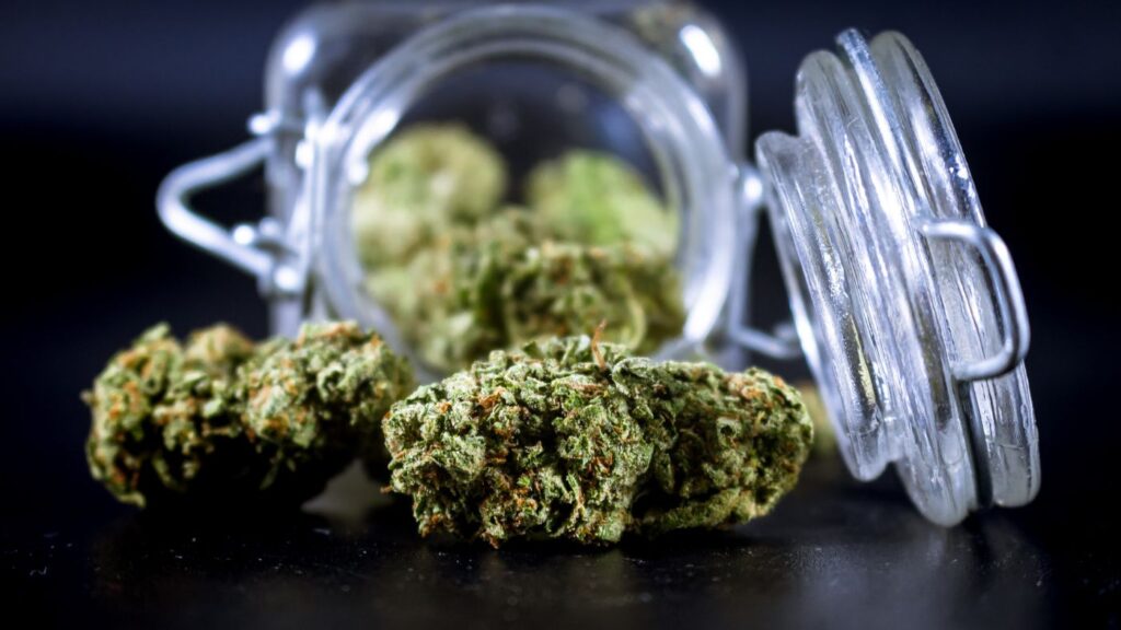 Glass jar of cannabis buds tipped on its side with flower spilling out, representing New York cannabis brand products